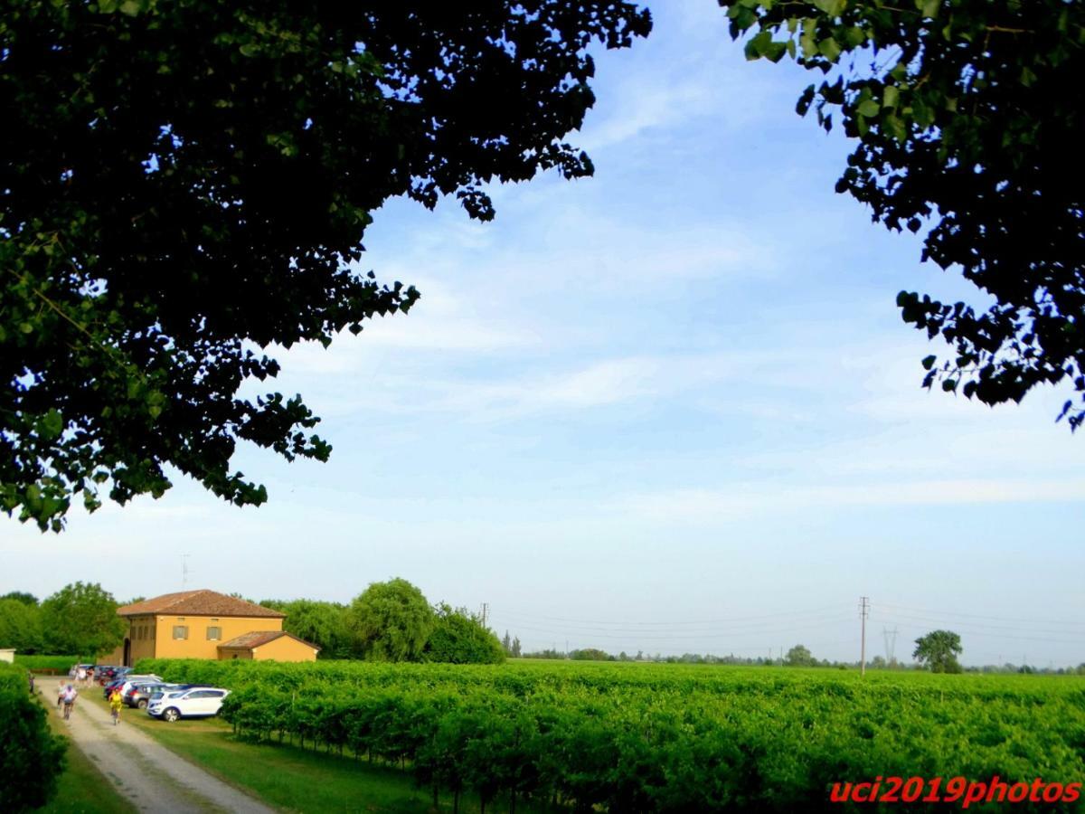 Agriturismo Vitae Fabbrico Exteriér fotografie